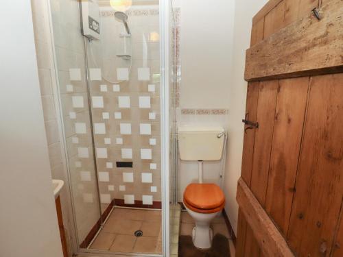 a bathroom with a toilet and a shower at Woldsend Cottage in Horncastle