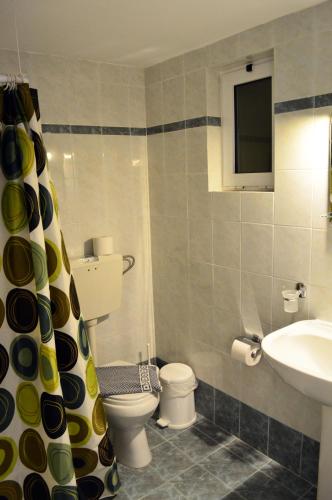 a bathroom with a toilet and a sink at Alexandros Hotel in Sisi