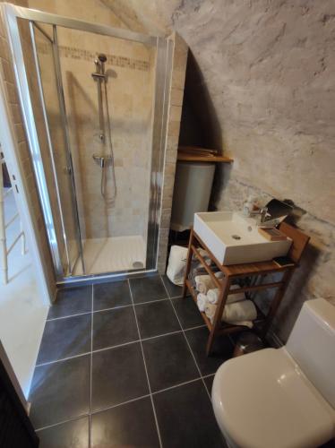 a bathroom with a shower and a sink and a toilet at Le Mazet 1823 in Saint-Hippolyte-du-Fort