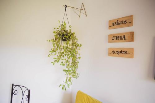 Fotografie z fotogalerie ubytování Peniel do Sana Guest House v destinaci Sana