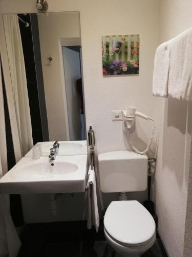 a bathroom with a white toilet and a sink at Hotel Parc & Lac in Montreux