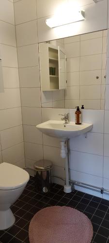 łazienka z umywalką i toaletą w obiekcie Pilane B&B w mieście Långekärr