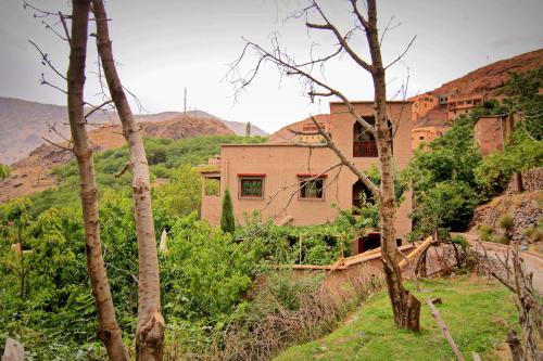 a house in the middle of a hill with trees at Jnane Karma in Imlil
