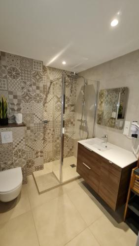 e bagno con servizi igienici, lavandino e doccia. di Appartement duplex climatisé avec terrasse "HANSI" a Colmar
