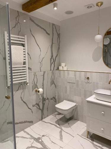 a bathroom with a shower and a toilet and a sink at Apartamenty Rynek23 in Puck