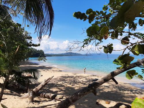a person standing on a beach in the water at Ocean's Breeze Apartment and Rooms in Puerto Viejo