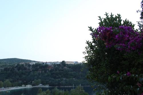 a tree with purple flowers on top of it at Rocka View in Meganisi