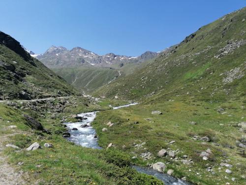 a mountain valley with a river in the middle at Appartement Au in Oberperfuss
