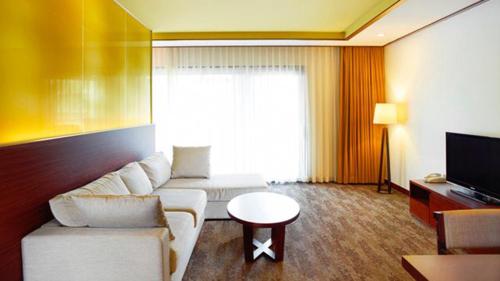 TV a/nebo společenská místnost v ubytování Holiday Inn Resort Alpensia Pyeongchang by IHG