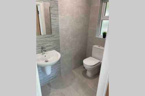 a bathroom with a toilet and a sink at The Forest Chalet - Stunning Studio Apartment in Ballycastle