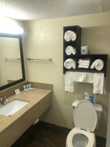a bathroom with a toilet and a sink and a mirror at Quail Inn and Suites - Myrtle Beach in Myrtle Beach