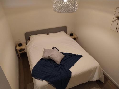 ein Bett mit zwei Kissen auf einem Zimmer in der Unterkunft Buiten in Bladel in Bladel