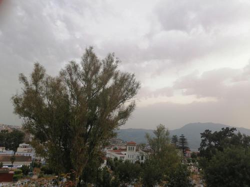 a tree in front of a city on a cloudy day at Dar Sidi Mfedal in Chefchaouene