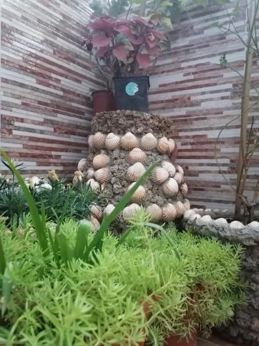 a pile of plants sitting in a garden at Dar Sidi Mfedal in Chefchaouene