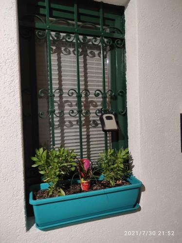a window with a blue planter with plants in it at Room Anthea 2 in Opatija