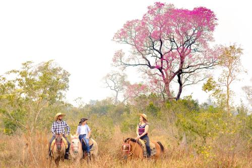 three people are riding horses in a field at Hotel Pantanal Mato Grosso in Poconé