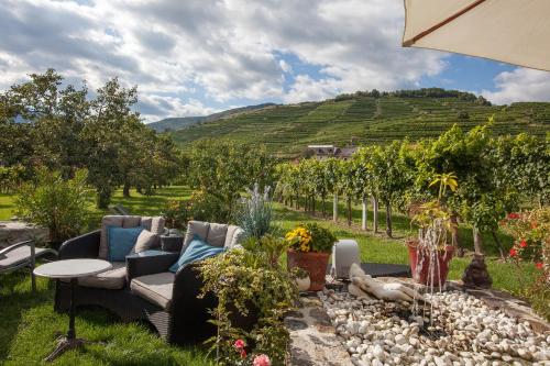 un patio con sofá y vistas a un viñedo en Weingut Donabaum "In der Spitz", en Spitz