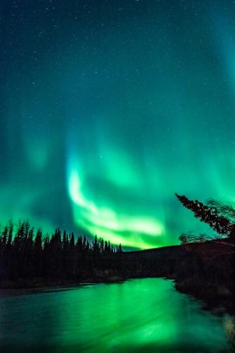 an aurora dances in the sky over a river at Backwoods Lodge in Cantwell