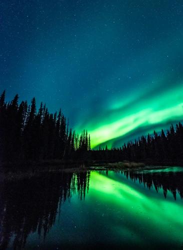 an aurora over a lake at night with trees at Backwoods Lodge in Cantwell