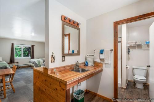 a bathroom with a sink and a toilet at Backwoods Lodge in Cantwell