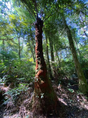 Un paisaje natural cerca de la casa de huéspedes