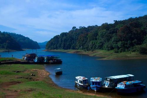 a group of boats docked on a river at Periyar House in Thekkady