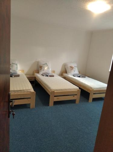 three beds in a room with blue carpet at Ubytování MV Týn nad Vltavou - Bohunice - Temelín. in Týn nad Vltavou