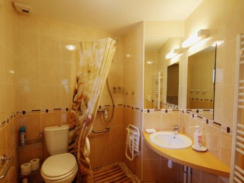 a bathroom with a toilet and a sink and a mirror at Gîte Saint-Cyr-de-Valorges, 5 pièces, 8 personnes - FR-1-496-17 in Échanssieux