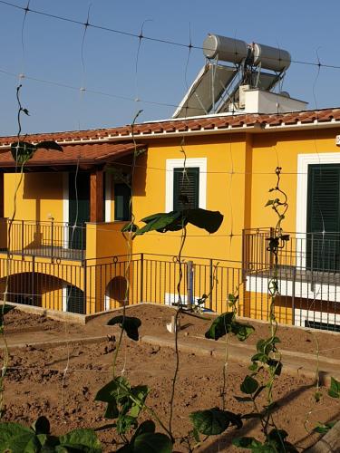 a yellow house with a fence in front of it at Casa Vacanze Il Frutteto in Massa Lubrense