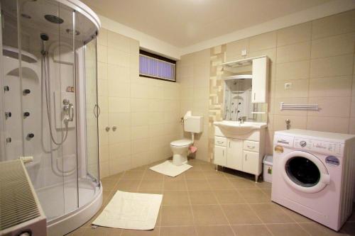 ein Bad mit einer Dusche und einer Waschmaschine in der Unterkunft Patkószeg Vendégház in Kaposfő