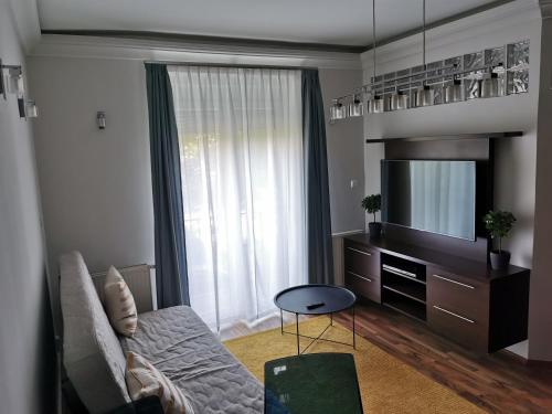 ein Wohnzimmer mit einem Sofa und einem TV in der Unterkunft Dózsa 64 in Dunaújváros