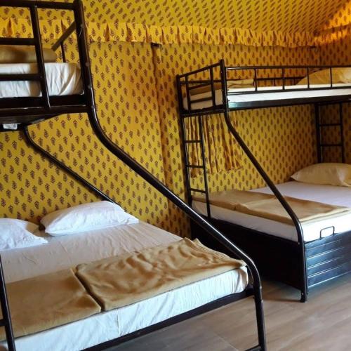 two bunk beds in a room with a yellow wall at Sentosa Farms in Chinchavli