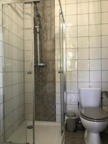 une salle de bain avec douche et toilettes dans l'établissement Le matru, à Sorbiers