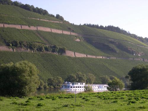 a white building on a hill next to a vineyard at Juffer Flair Restaurant Gästehaus in Brauneberg