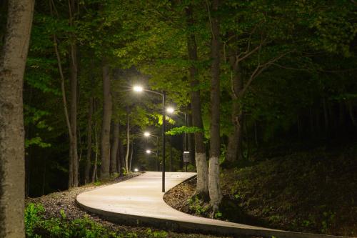 a winding path at night with street lights at Crystal Town House in Bakuriani