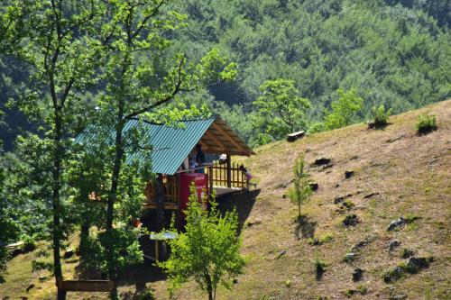 a small cabin on a hill with trees at Kljajevica Orchard in Pljevlja