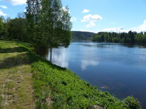 a view of a river with trees and the water at Björkebo Camping in Stöllet