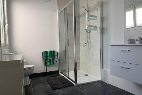 une salle de bain avec douche et toilettes dans l'établissement Hyper centre Maison le petit Bouchon, à Ay