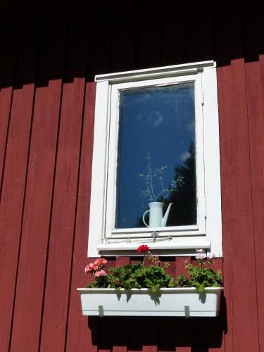 a window with a pot and flowers in a window box at Björkebo Camping in Stöllet