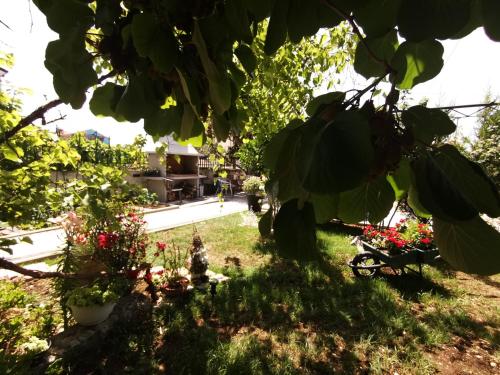 Κήπος έξω από το Apartment D & N