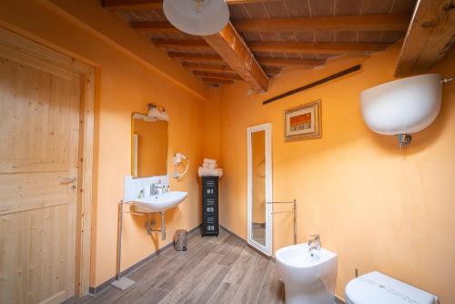 a bathroom with a toilet and a sink at Il Mulino in Civitella deʼ Conti