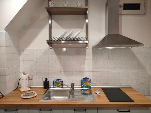 uma cozinha com um lavatório e um fogão forno superior em EtnaCiTy Guest House Apartment em Catânia