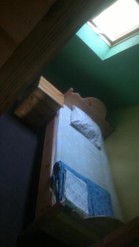 a bed in a room with a skylight at Kempings Mežmalas in Usma