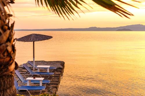 Gallery image of Marabou Hotel in Pefkohori