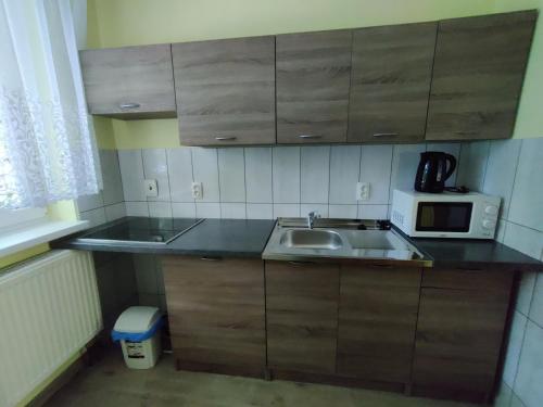 a small kitchen with a sink and a microwave at Rekreačné zariadenie Javorinka in Stará Turá