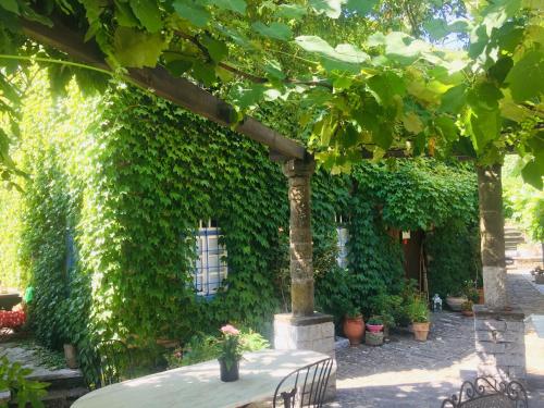 a building covered in green ivy with a table and chairs at Saxonis Houses & Saxonis Villa in Papigko