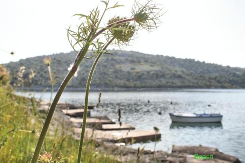 Gallery image of Apartment Sevid in Sevid