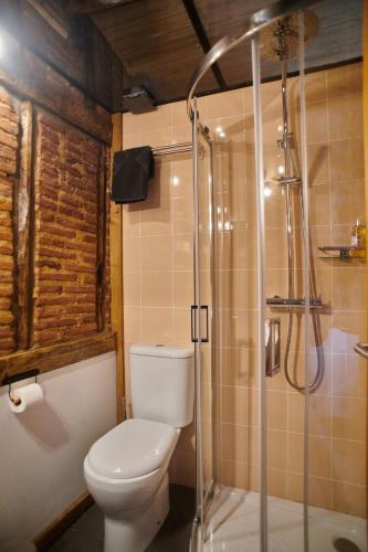 a bathroom with a toilet and a shower at Casa da Praça Velha Guest House in Braga
