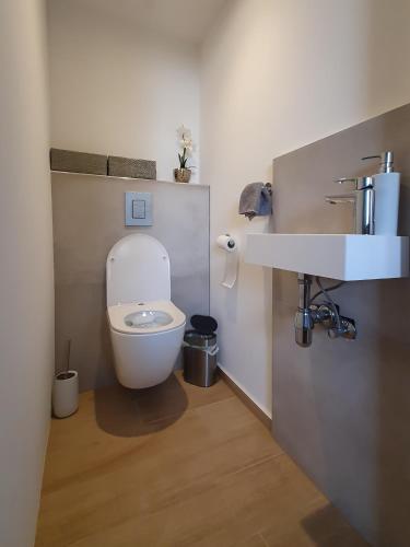 a bathroom with a white toilet and a sink at Počitniška hiša Grube z wellnesom in Puconci