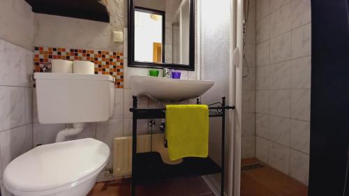 a bathroom with a white toilet and a sink at Ferienwohnungen Almsonne in Thomatal